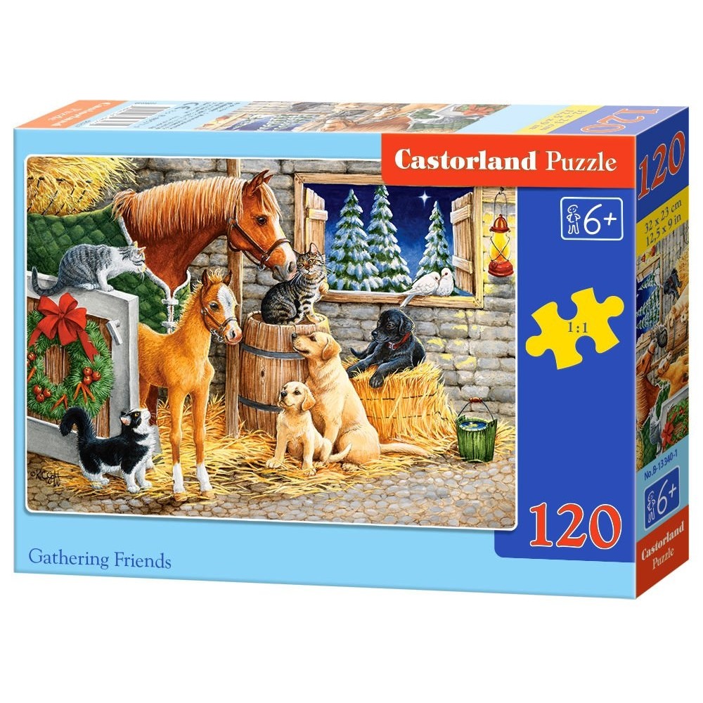 Παζλ Castorland 300 κομμάτια - Συνάντηση με φίλους