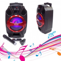 Ισχυρό ηχείο FEIYIPU R-8 με Bluetooth, ασύρματο μικρόφωνο, USB, ραδιόφωνο και φωτεινά εφέ