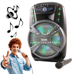 Φορητό Bluetooth Karaoke ηχείο FEIYIPU ES-12 με ασύρματο μικρόφωνο, εφέ φωτισμό και ψηφιακή οθόνη 12 ιντσών