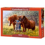 Παζλ Castorland 500 κομμάτια - Εσωτερική ομορφιά