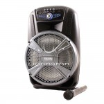Φορητό Bluetooth Karaoke ηχείο FEIYIPU ES-12 με ασύρματο μικρόφωνο, εφέ φωτισμό και ψηφιακή οθόνη 12 ιντσών - 5
