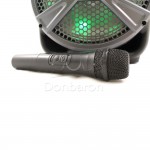 Φορητό Bluetooth Karaoke ηχείο FEIYIPU ES-12 με ασύρματο μικρόφωνο, εφέ φωτισμό και ψηφιακή οθόνη 12 ιντσών - 10