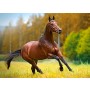 Παζλ Castorland 180 κομμάτια - Άλογο που τρέχει - 2